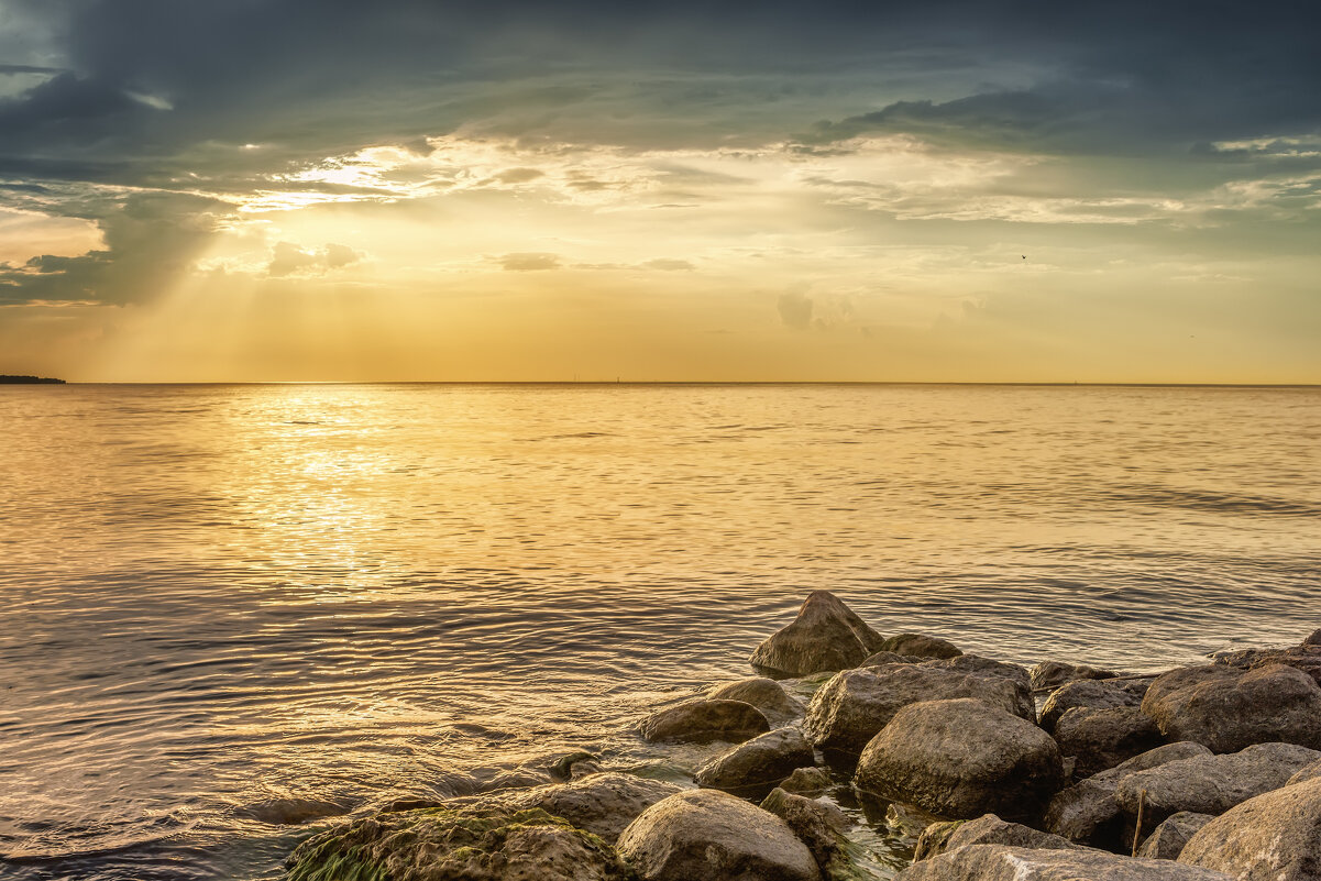 Про Питер - Владимир Колесников