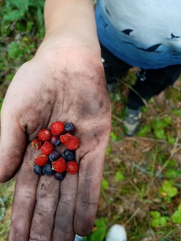 *** - Елизавета 