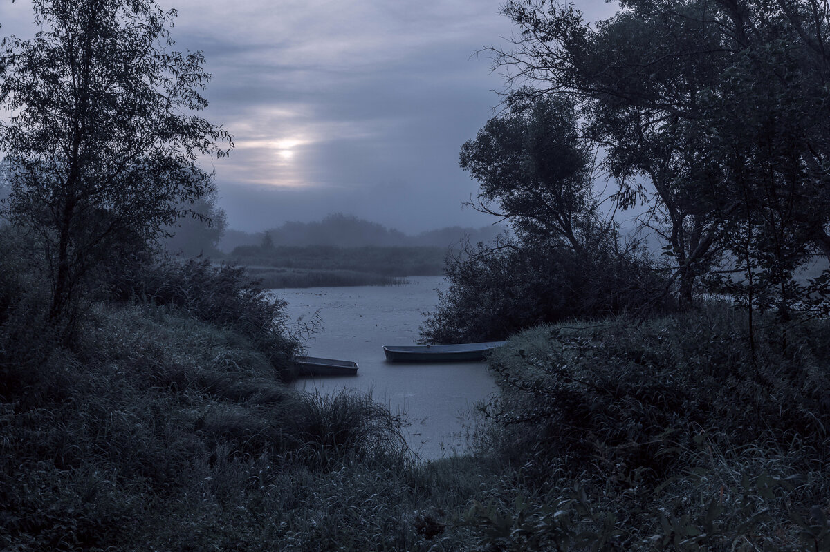 **** - Елизавета .