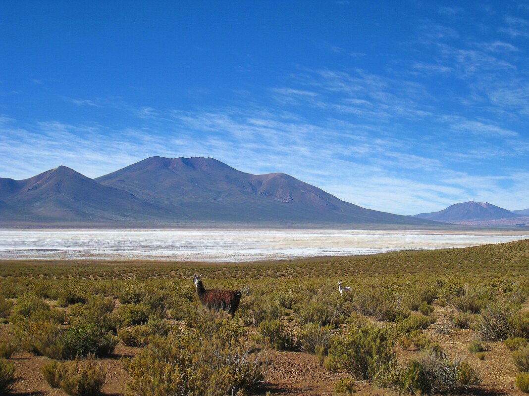 Кусочек горной Боливии. - unix (Илья Утропов)