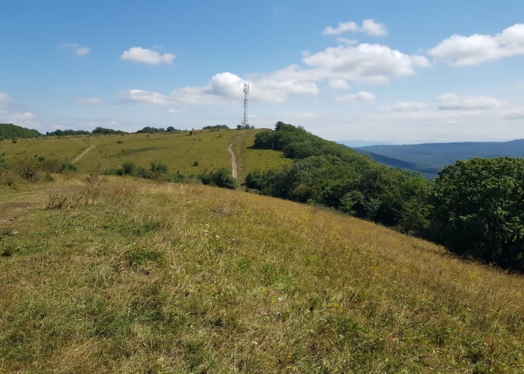 ЛАГО-НАКИ - Tata Wolf