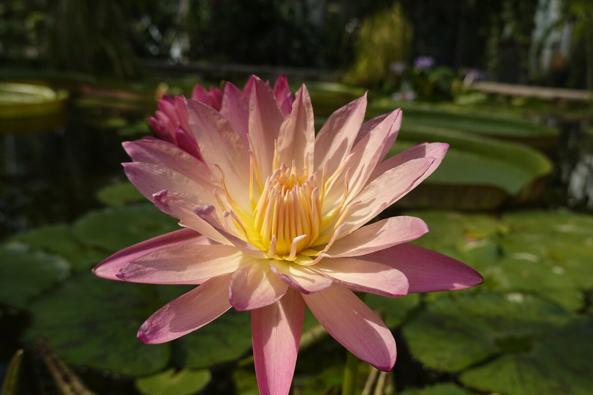 ... - Галина ... - Галина