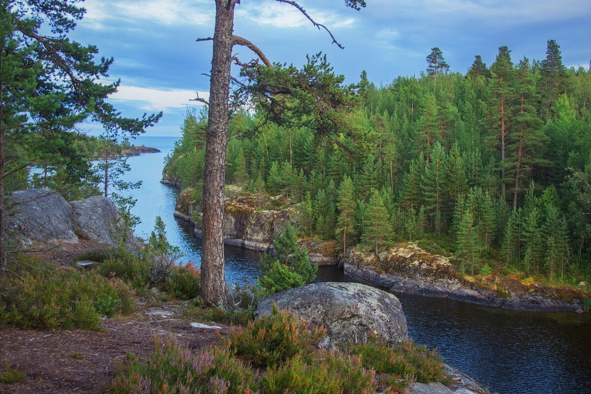 *** - Сергей  Могутов 