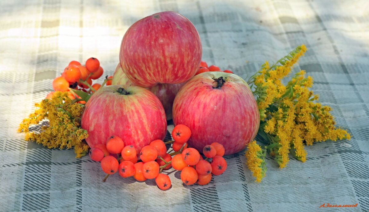 Пахнет яблоком сентябрь... - Андрей Заломленков