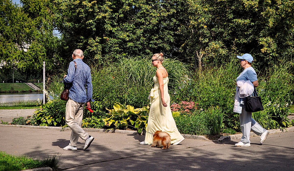 Что за комиссия, создатель, быть взрослой дочери отцом,,,,) - Анатолий Колосов