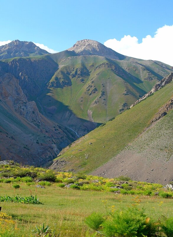 ПРИТОК ОЙГАИНГА, h -2500м. - Виктор Осипчук