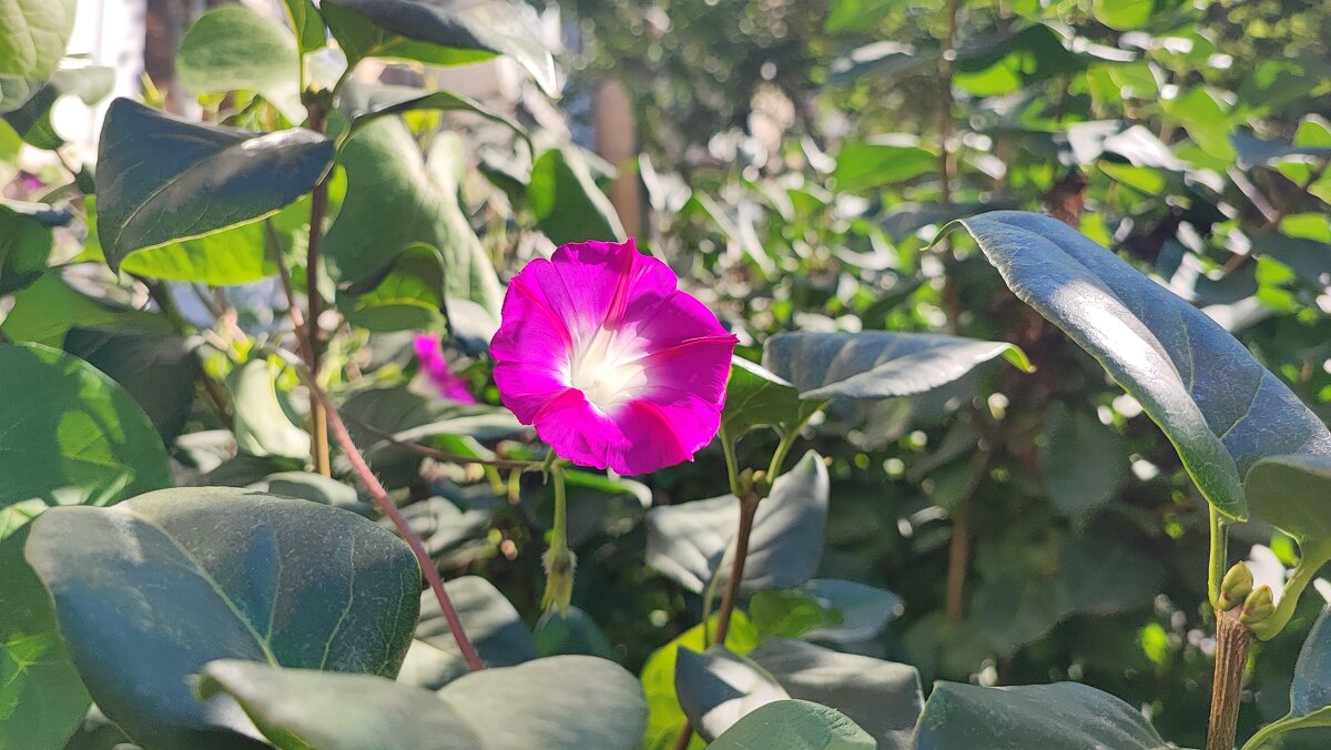 ,,, - Сергей Тимоновский