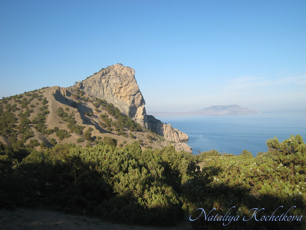 Природа Крыма - Amazing Cosmea