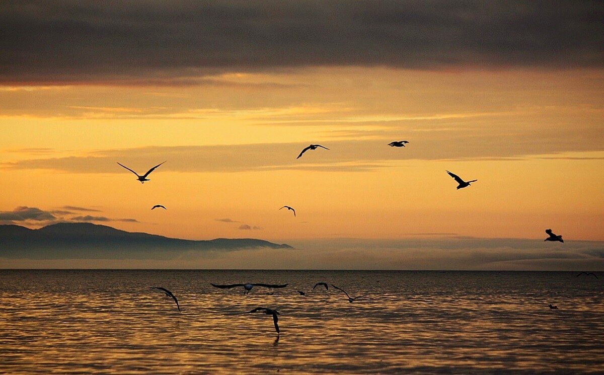 Побережье Сахалина - Юрий. Шмаков