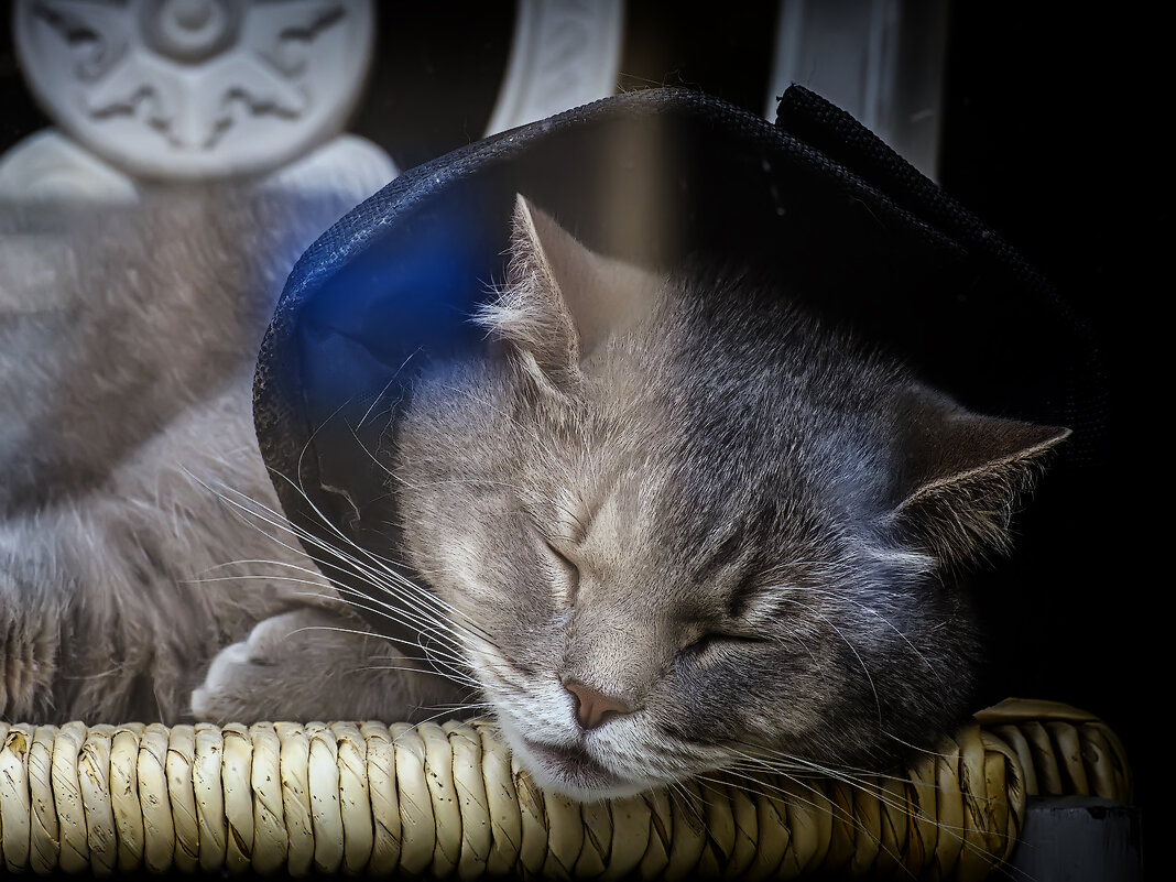 Дуся. - Александр 