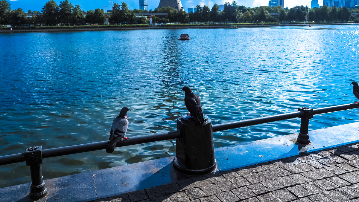 ***** - юрий поляков ***** - юрий поляков