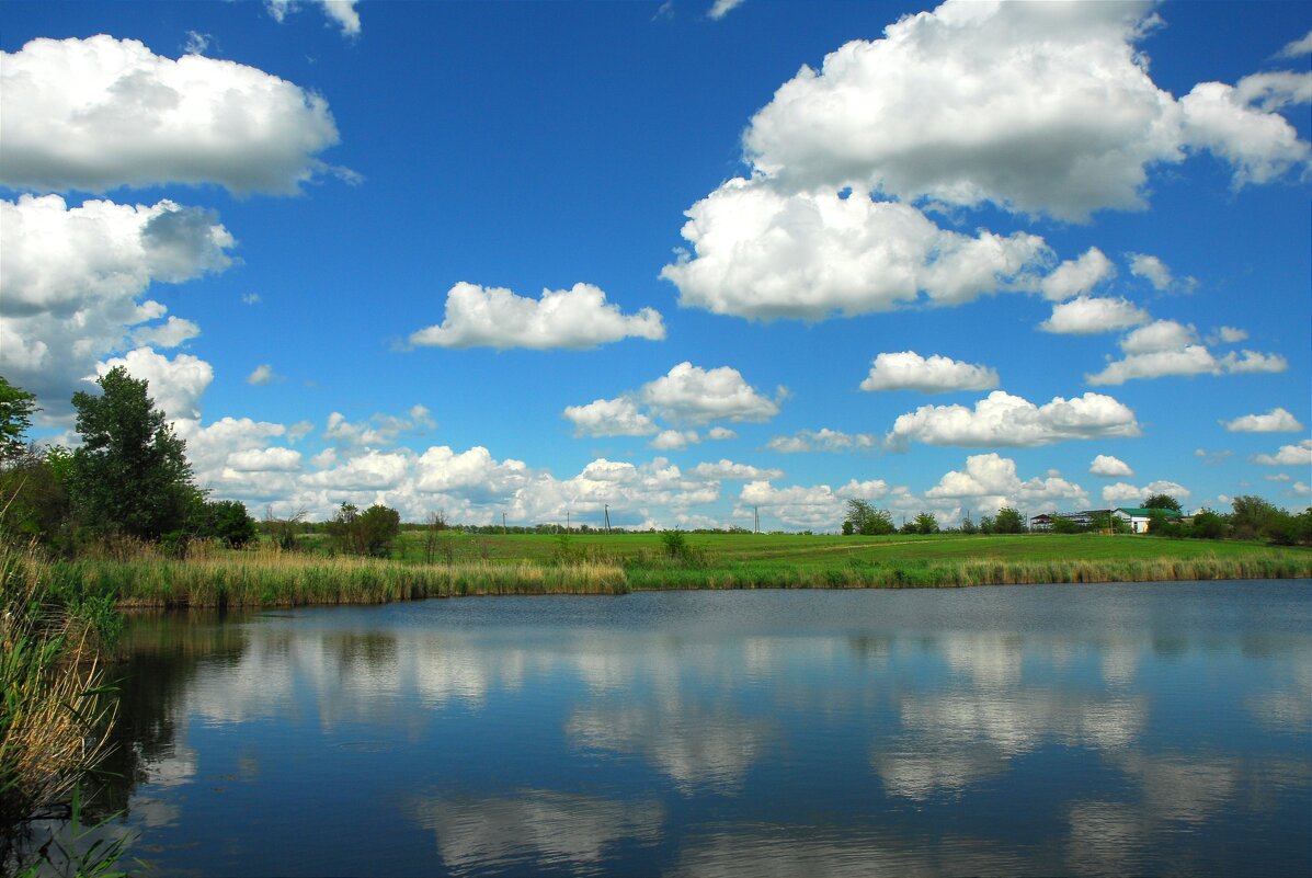 Лето. - Владимир 