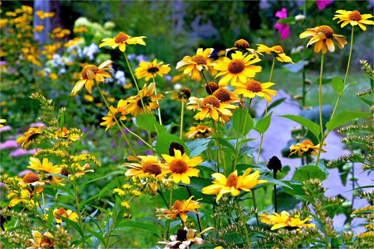 1  СЕНТЯБРЯ - Юрий Владимирович 34