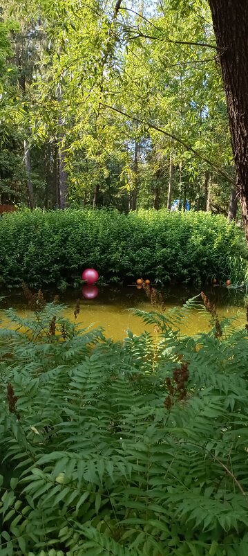 Лилин пруд - Галина R... Лилин пруд - Галина R...