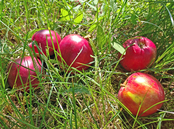 Закончилось лето... - Елена 