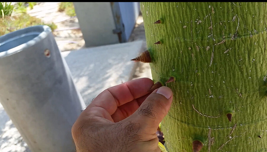 113 (40) - CLOSE WAYS ALL