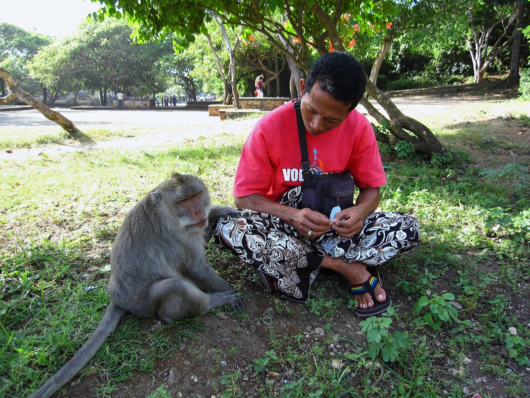 - Да, братан, задолбали эти фотографы, опять нас какой-то турик фоторгафирует... - unix (Илья Утропов)