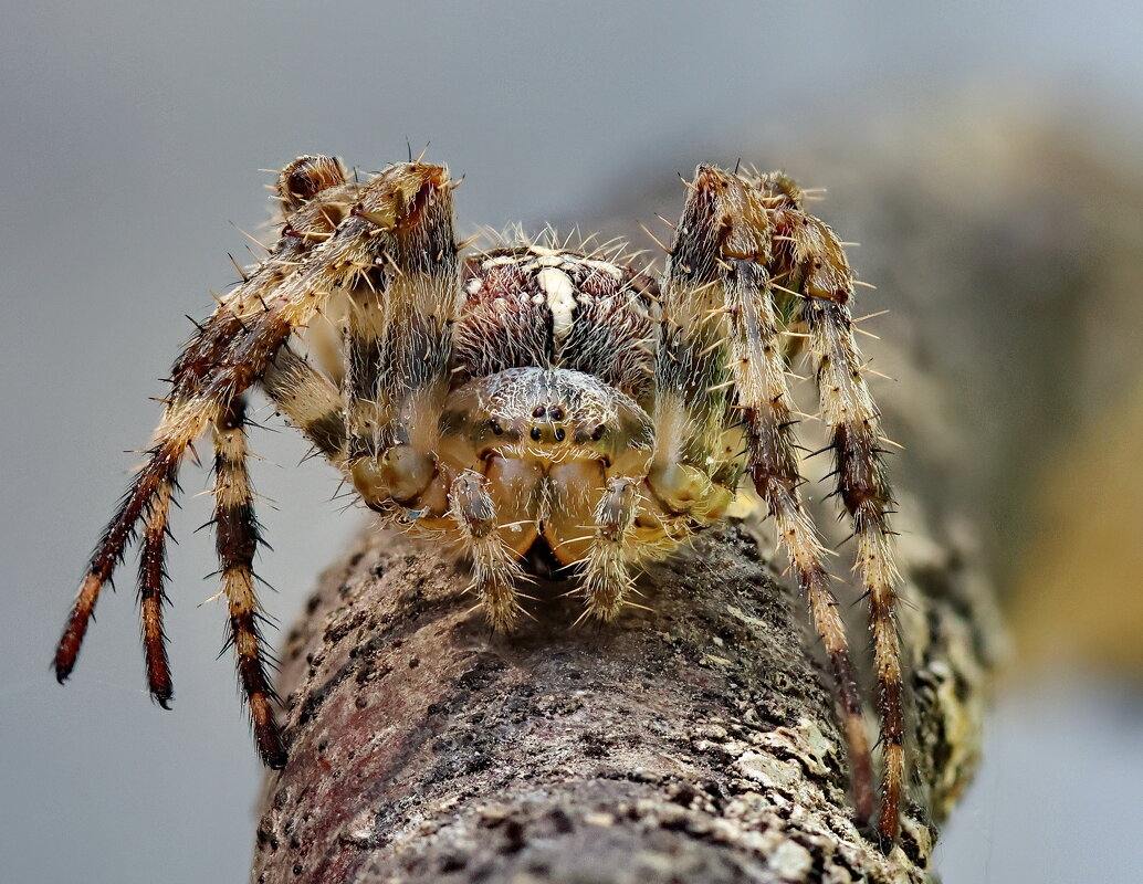 . - Игорь Осипов