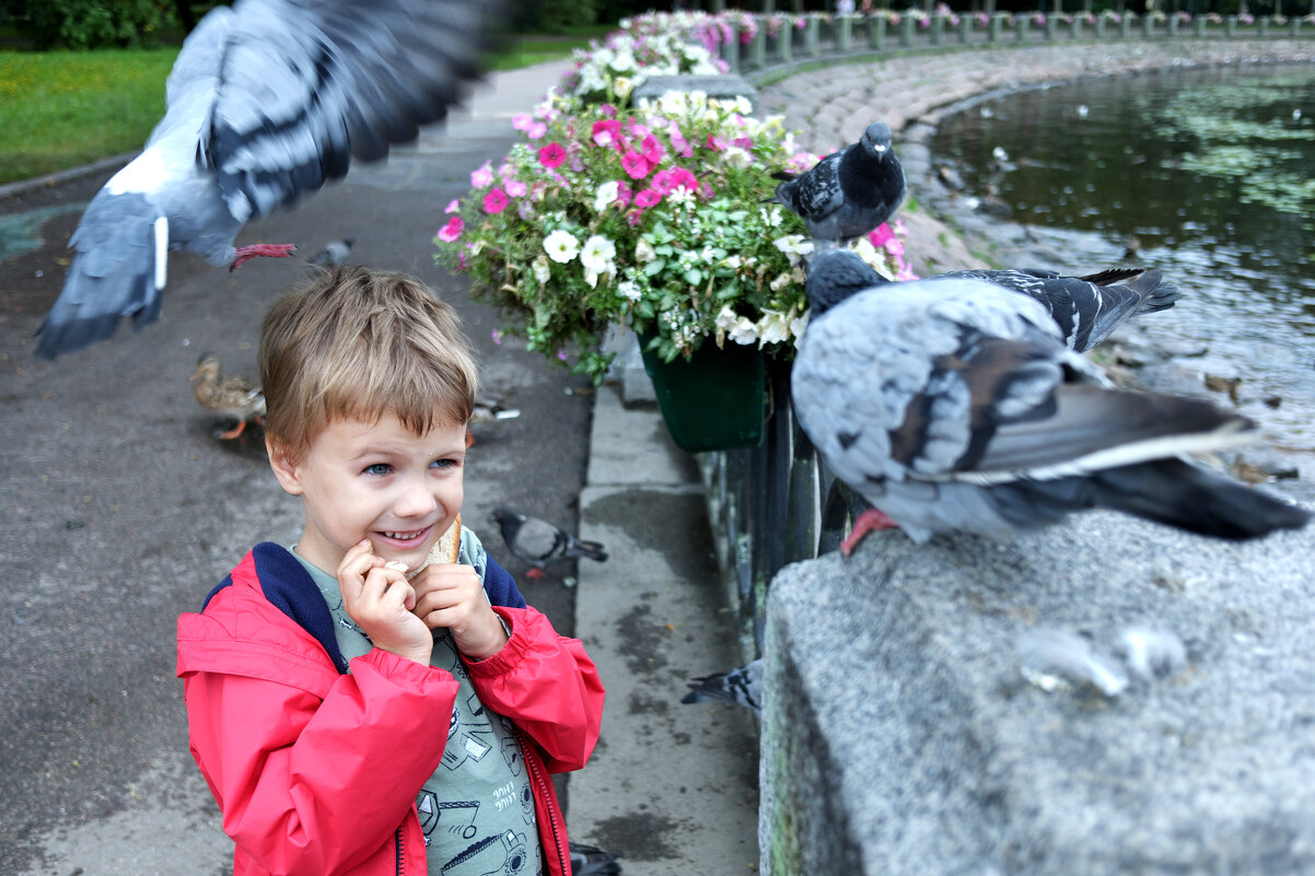 ... - ВЛАДИМИР 