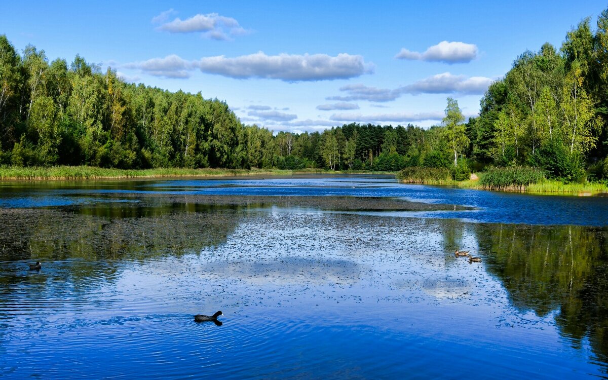 О красоте Смоленской природы. - Милешкин Владимир Алексеевич 