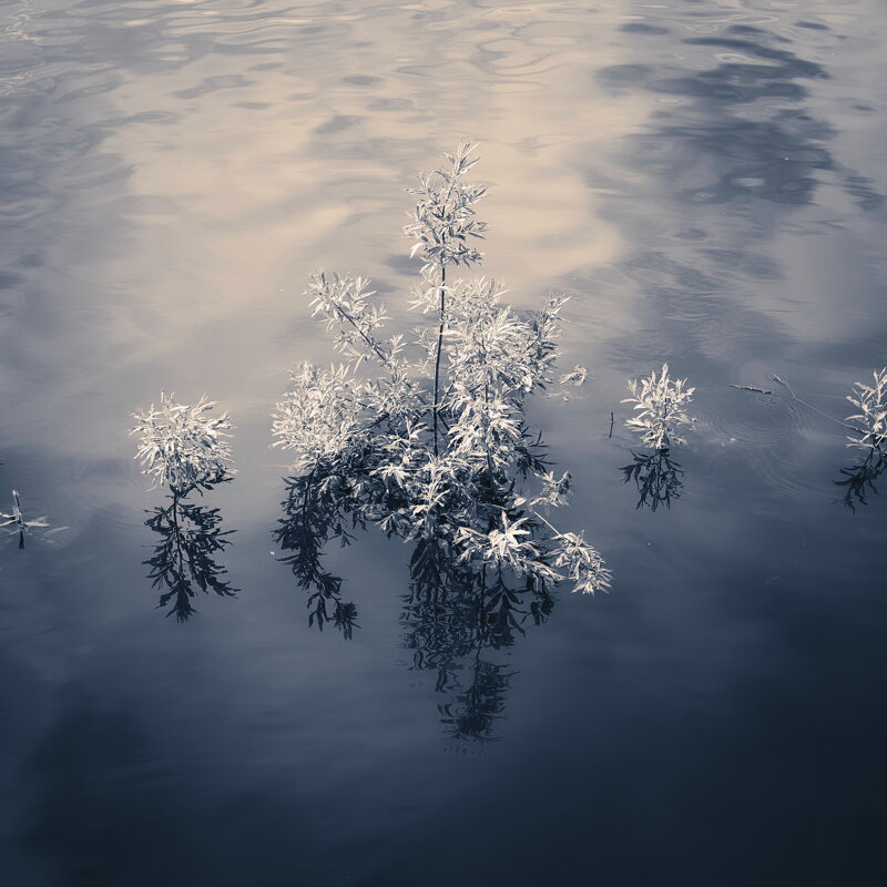 Назва. отсу. - Денис Безногов