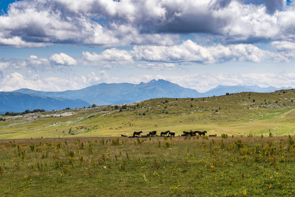 Прогулка по плато Лаго-Наки - Игорь Сикорский