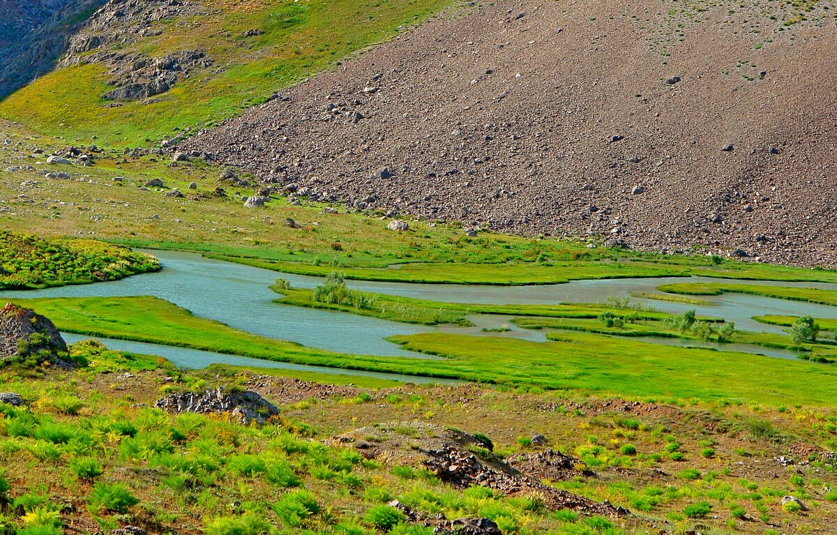 ПРИТОК ОЙГАИНГА. h- 2600м. - Виктор Осипчук ПРИТОК ОЙГАИНГА. h- 2600м. - Виктор Осипчук