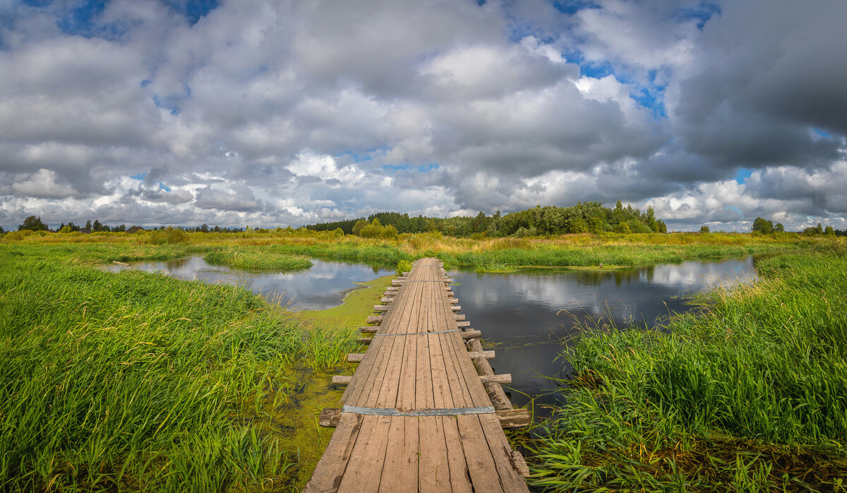 **** - Елизавета .