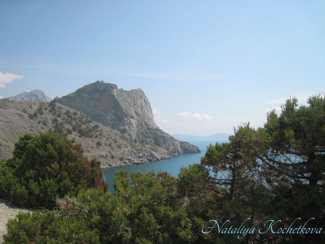 Природа Крыма - Amazing Cosmea