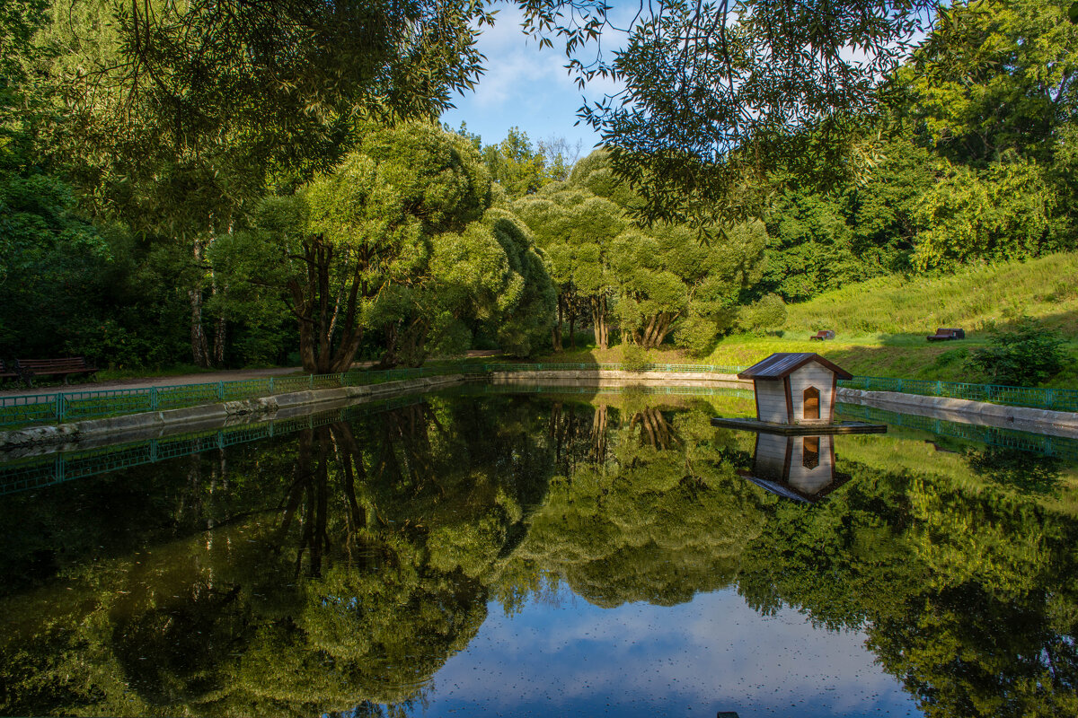 Отражение - Владимир Жуков Отражение - Владимир Жуков