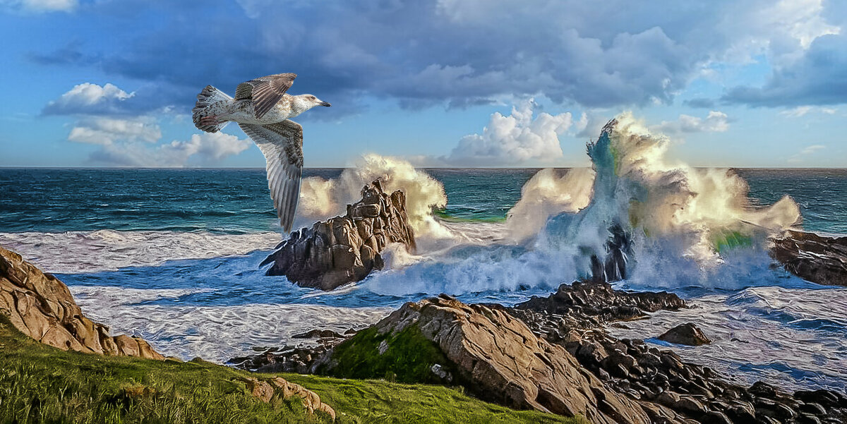 Прибой - Aleksey Afonin