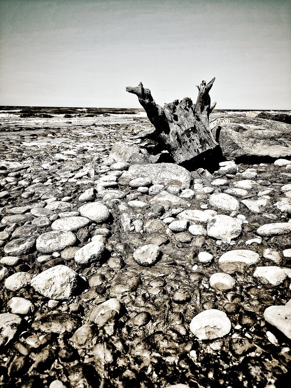 *** - Oksana Verkhoglyad