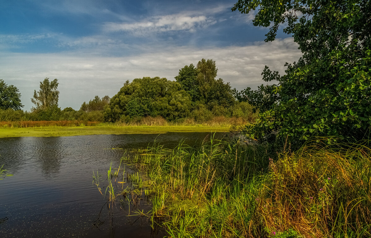 На исходе лета 5 - Андрей Дворников