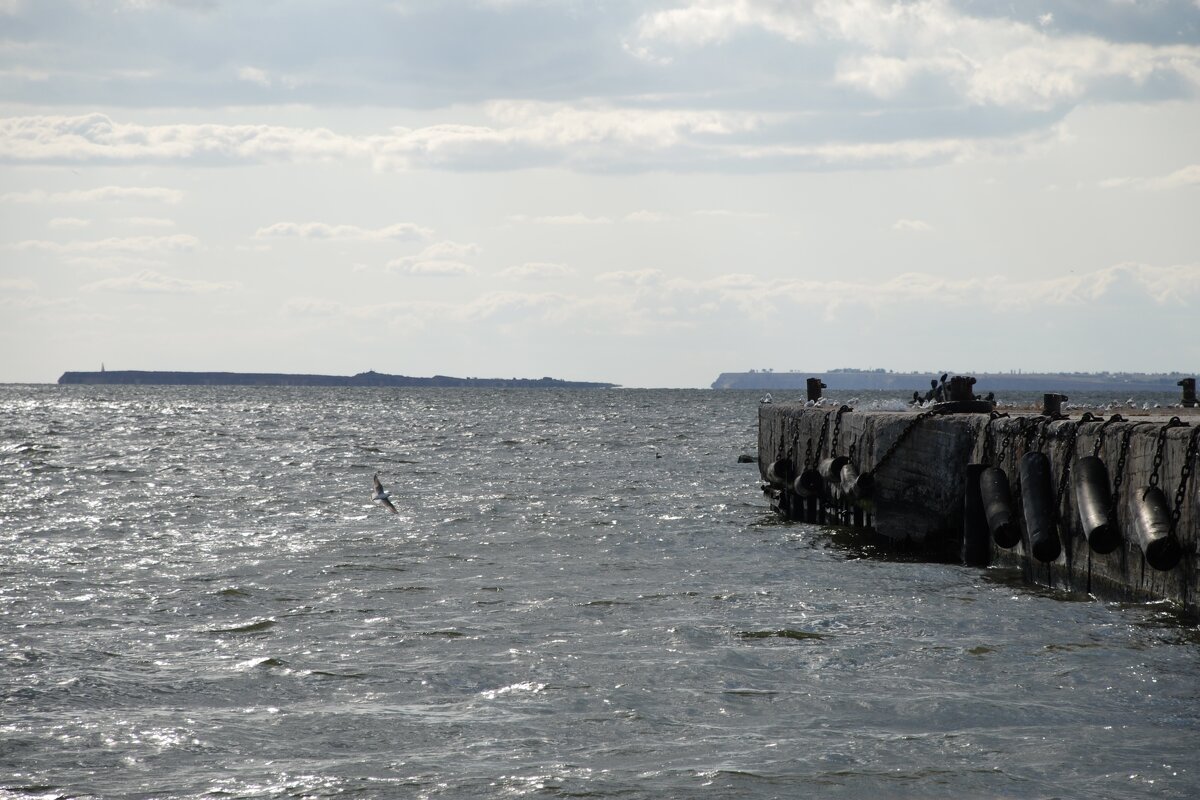 Место для глубокого вдоха с закрытыми глазами - Анна Камс