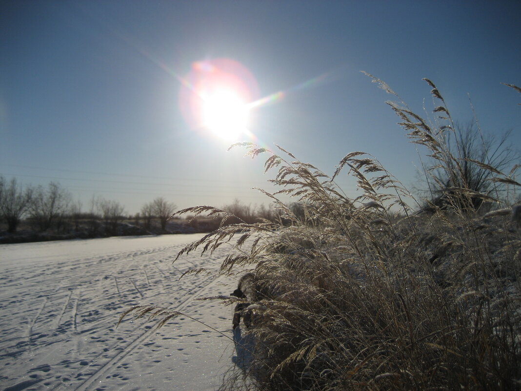 Утро - Anna Ivanova