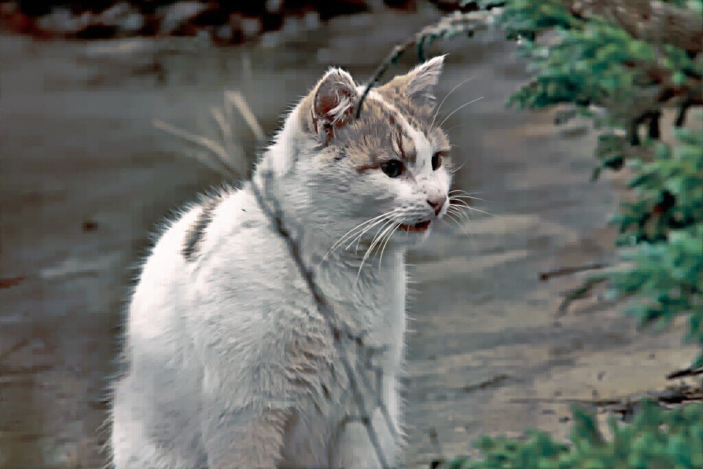 Кошка - евгений 