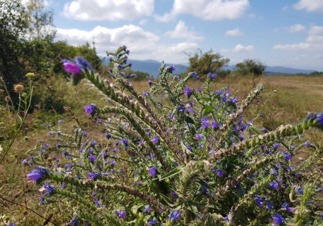 ПОХОД НА ЛАГО НАКИ - Tata Wolf