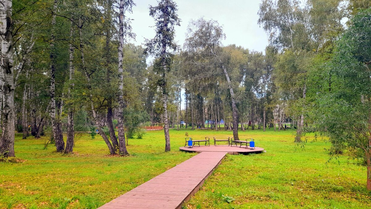 Начало осени  в парке . - Мила Бовкун