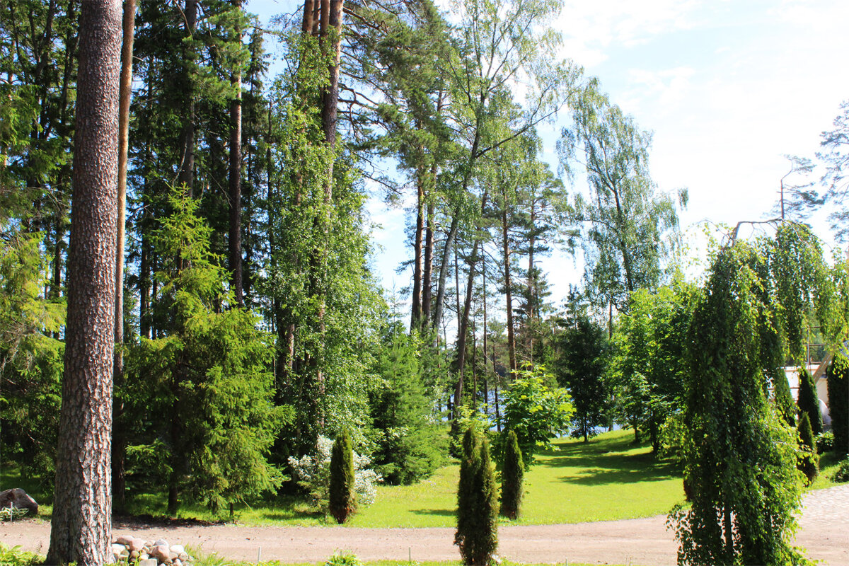 Карелия - Любовь ***