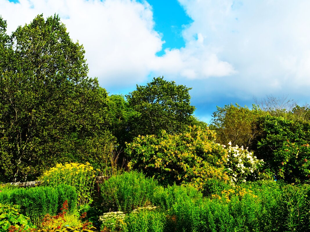 Дорожками ботанического сада - Aida10 