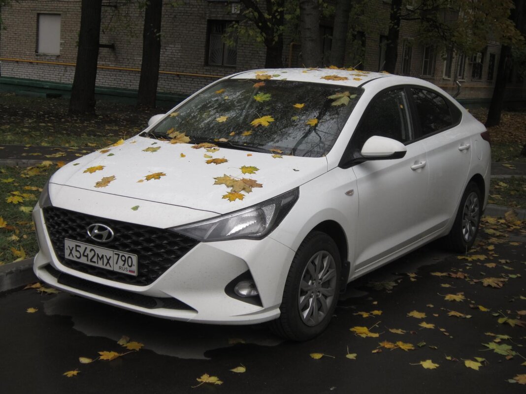 Hyundai в кленовых листьях - Дмитрий Никитин