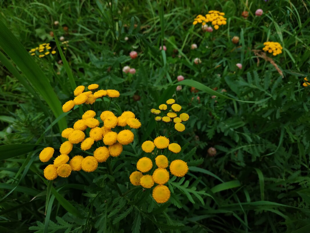 * * * - Андрей Лукьянов