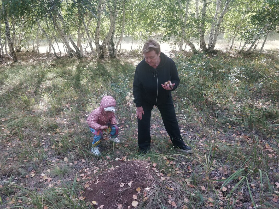 Сентябрьская тихая охота - Андрей Хлопонин