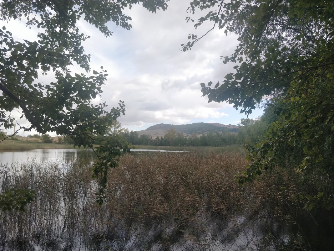 Осень в Жосалах - Андрей Хлопонин