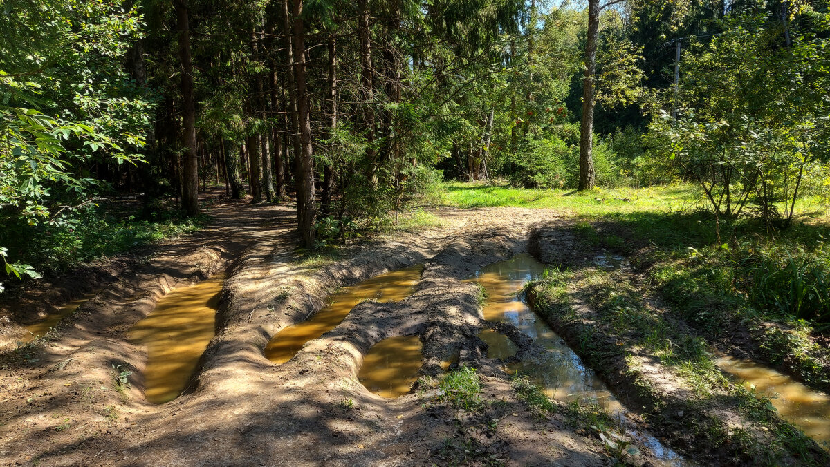 *** - Владимир Безбородов