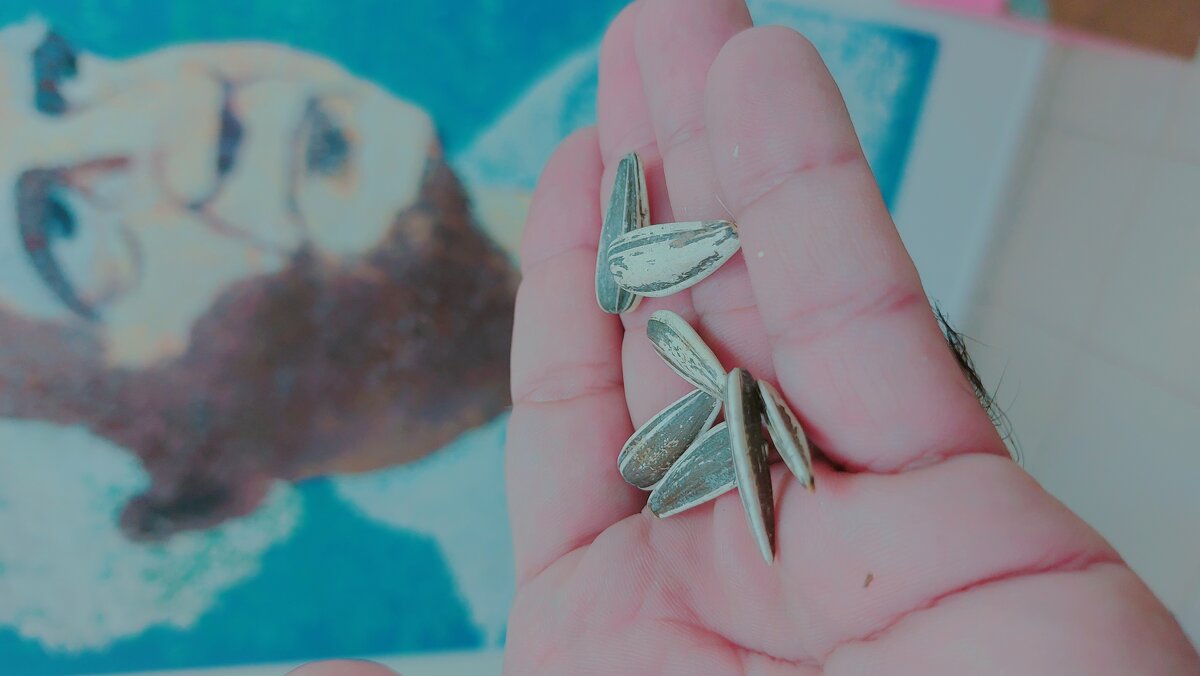 13  ОПЕН (286) - OPEN WAYS ALL