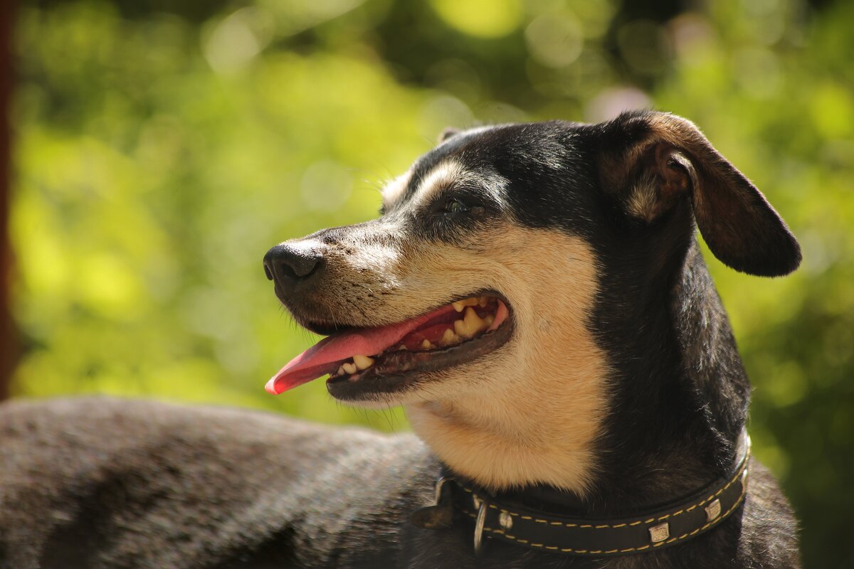 Не подходи ко мне. Я обиделась. - Татьяна Бравая