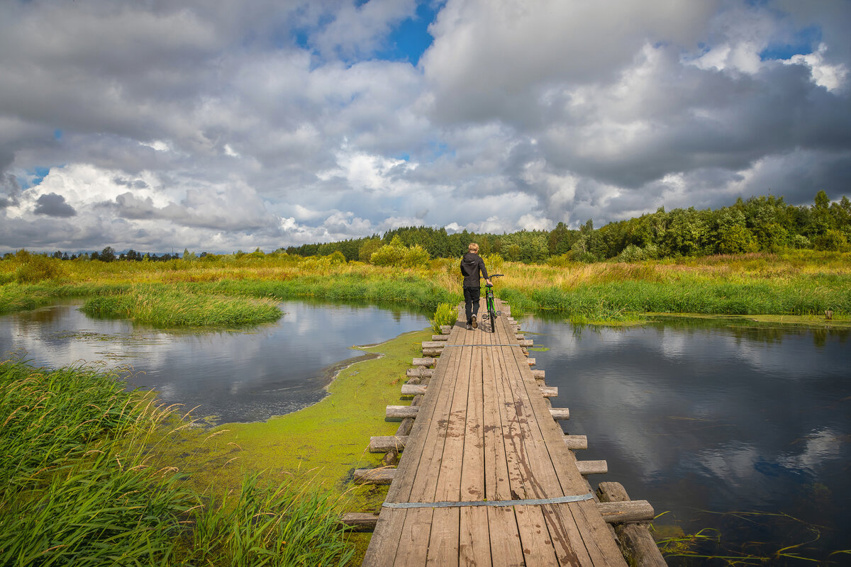 **** - Елизавета .