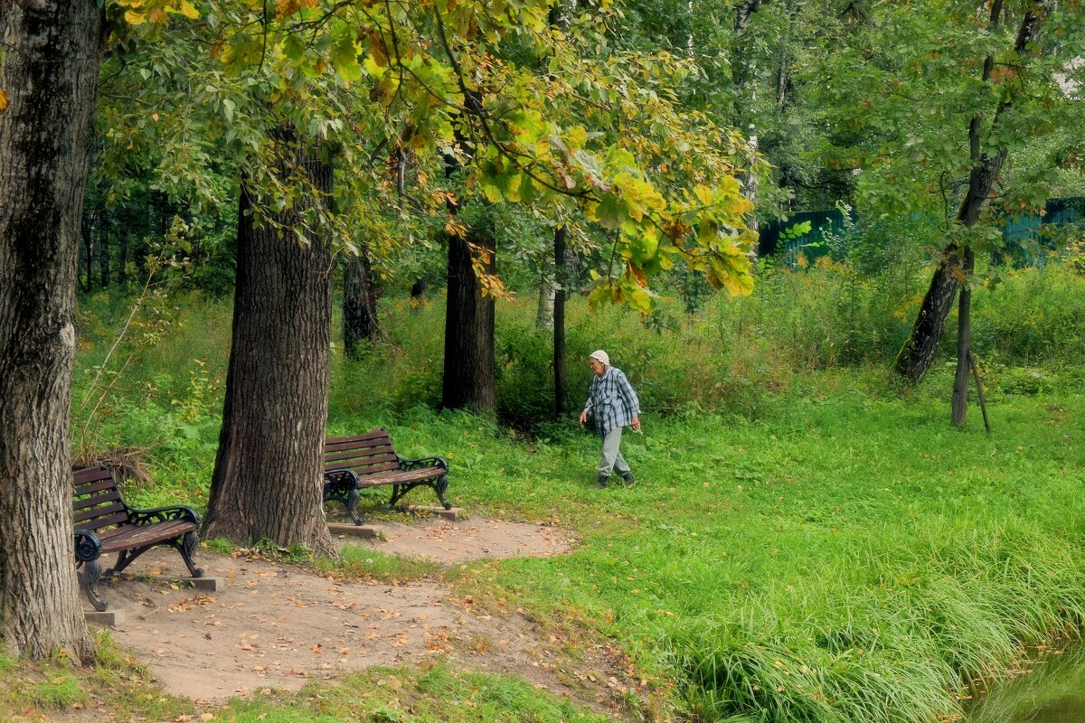 - Осень жизни, как и осень года, нужно благодарно принимать - - Татьяна Помогалова