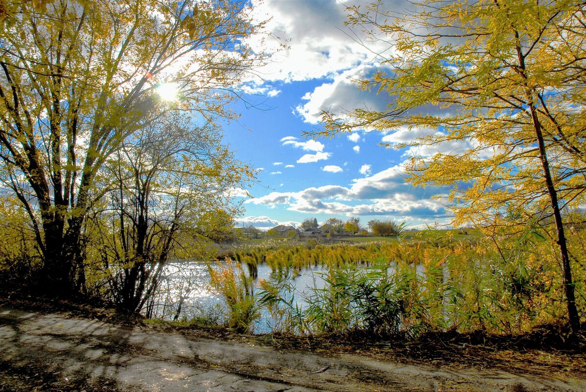 Осень. - Владимир 